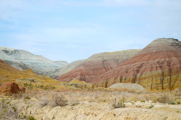 Wall Mural - white mountain