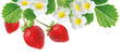 tasty red summer freshness strawberries