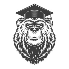 Wall Mural - vintage monochrome graduate bear head