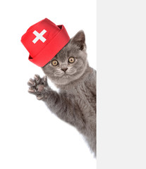 Wall Mural - Cat dressed like a doctor behind white banner. isolated on white background