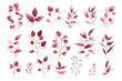 Watercolor tropical burgundy maroon leaves isolated