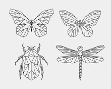 Set Of Abstract Polygon Animals. Linear Geometric Butterfly, Dragonfly, Beetle. Vector Illustration.