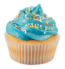 Wall Mural - SINGLE BLUE CUPCAKE