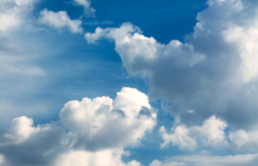 Wall Mural - white curly clouds in a blue sky. sky background