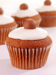 Wall Mural - WHITE ICED CHOCOLATE CUPCAKES