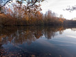 Herbstspaziergang entlang eines kleinen Sees. Die herbstlich gefärbten Bäume spiegeln sich im Wasser