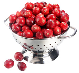 Canvas Print - FRESH CRANBERRIES IN COLLANDER