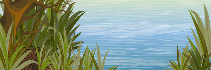 The shore of the pond with a branchy tree and tall grass. Wildlife of America and Europe. Realistic Vector Landscape