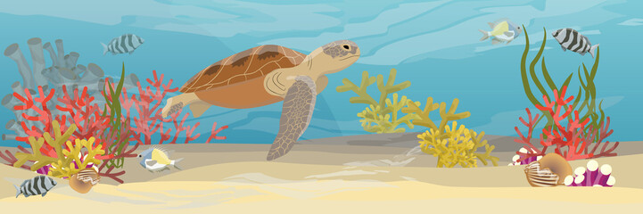 Green sea turtle swims under water. Tropical underwater landscape. The bottom of the coral reef with exotic fish, corals, sea sponges, sand and stones. Vector illustration of a sea life