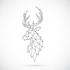  Geometric Deer silhouette. Image of Deer in the form of constellation. Vector illustration.