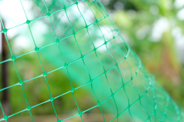 Green net texture background