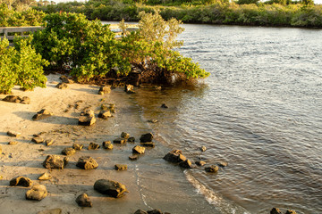 Wall Mural - On the water