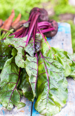 Beet leaves on vintage wooden background, selective focus.