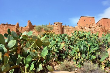 Wall Mural - Old ruins in the Canyon of Ghoufi, Algeria