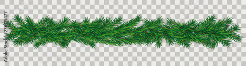 Fotografía Christmas Green Twigs Transparent