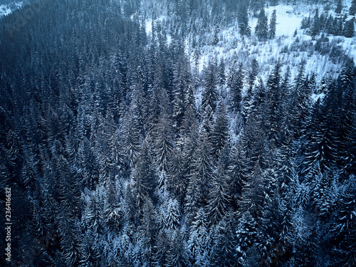 Aerial View From Above Of Winter Forest Covered In Snow Pine Tree And Spruce Forest Top