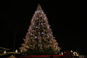 beautiful christmas tree decorates the square