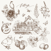 Set Of Farmhouse, Organic Food, Chicken And Garden Flowers And Fruits Illustration. Hand Drawn Illustration In Vintage Style. Bird Nest, Eggs, Bees, Berry And Butterfly. Village Lettering Inscription