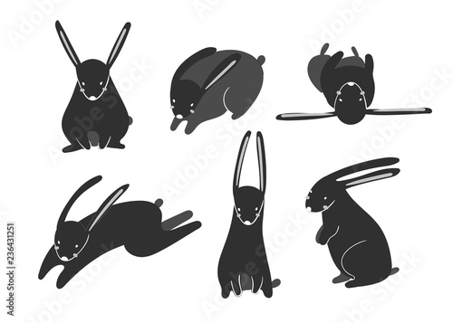 うさぎ アドビストックのデザイン かべいろ Com おしゃれ壁紙リフォーム貼り替え インクジェット壁紙のかべいろ Com