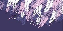Spring Acacia Blossom Color Vector Illustration