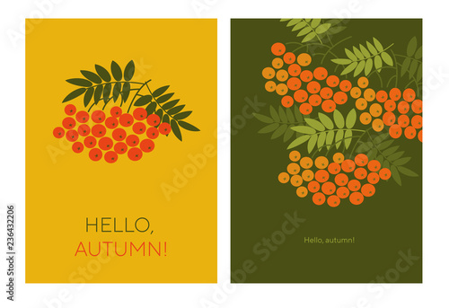 Fotografie, Obraz Hello autumn typography color illustrations with rowanberry