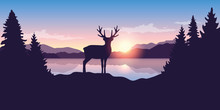 Reindeer By The Lake At Sunrise Wildlife Nature Landscape Vector Illustration EPS10