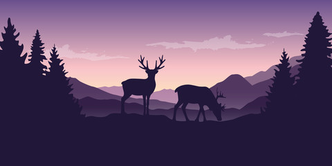 Wall Mural - two wildlife reindeers on purple mountain and forest landscape vector illustration EPS10