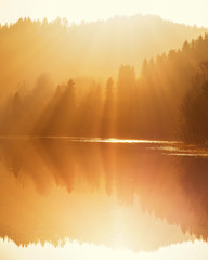 Morning sun light in foggy air. Water reflections and autumnal colours.