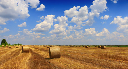 Poster - Hay bale in the countryside