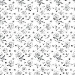 Sticker - Floral seamless pattern with linden flowers. Hand drawn eco design for fabric and wrap paper, packaging- tea, oil, cosmetics etc.