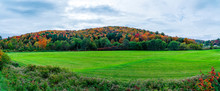 Green Pastures In New England