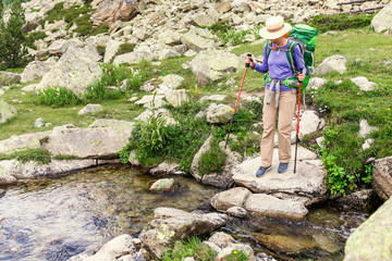 Wall Mural - A hiker woman travels along small river during GR11 Hike in Pyrenees mountains