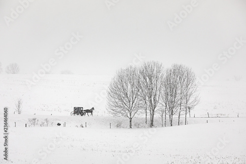 Fotografía Amish buggy travels a country road in upstate New York during a snow storm