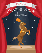 Circus Trained Horse In Stage Decoration. Flat Vector Poster.