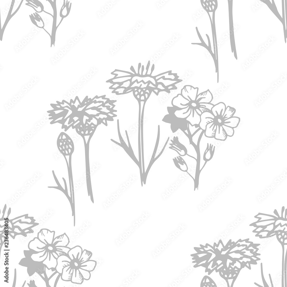seamless floral pattern with wild flower - obrazy, fototapety, plakaty 