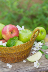 Wall Mural - Fresh sweet juicy red and green apples with flowers on a wooden background