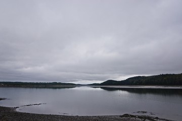 Machais, Maine, USA: Trees reflected in the Machais River on a cloudy autumn day.