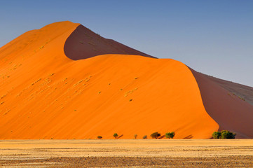 Sharp border of light and shadow over the crest of the dune at sunrise at Sossusvlei Namib Desert, Namib Naukluft National Park of Namibia.