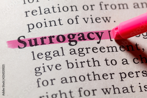 Cuadros en Lienzo definition of surrogacy