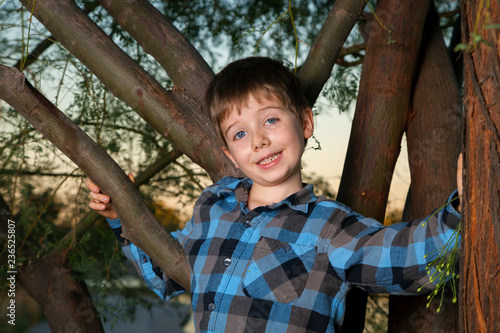 Cuadros en Lienzo Boy in a Tree with a Goofy Expression