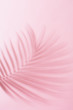© Kristin Duvall/Stocksy - Palm frond shadow on pink surface