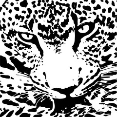 Wall Mural - Jaguar walking from dark. vector Logo design, on black background image