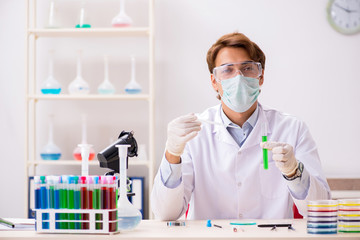 Young chemist working in the lab 