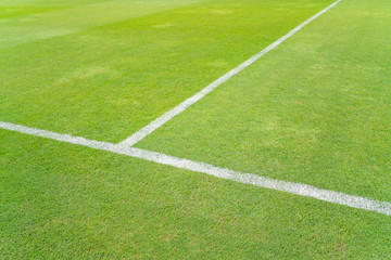 White line on a Green grass football field middle. 