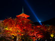Kiyomizu-dera , red autumn leaves autumn light up at night, red pagoda Kyoto, Japan