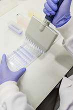 Female Scientist Using A Pipette In A DNA Laboratory