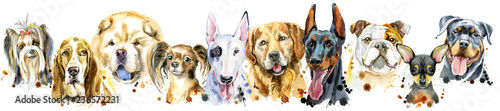 Fototapeta na wymiar Border from watercolor portraits of dogs for decoration