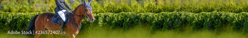 Fotografía Beautiful girl on sorrel horse in jumping show, equestrian sports