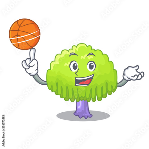 Fotografia, Obraz With basketball isolated weeping willow on the mascot