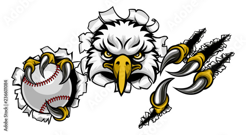 An eagle bird baseball spor...
